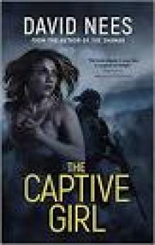 The Captive Girl Read online