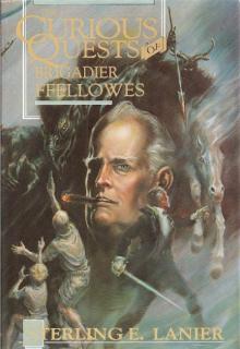 The Curious Quests of Brigadier Ffellowes Read online