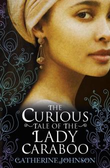 The Curious Tale of the Lady Caraboo Read online