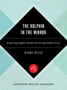 The Dolphin in the Mirror Read online