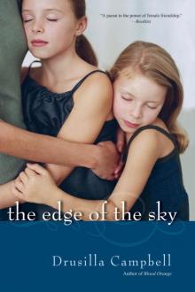 The Edge Of The Sky Read online
