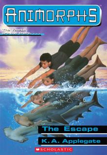 The Escape Read online