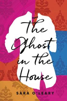 The Ghost in the House Read online