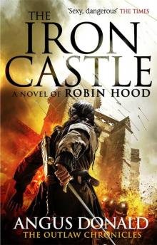 The Iron Castle Read online