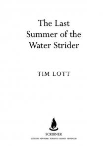 The Last Summer of the Water Strider Read online