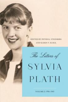 The Letters of Sylvia Plath Vol 2 Read online