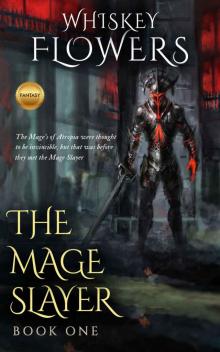 The Mage Slayer Read online