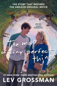 The Map of Tiny Perfect Things Read online