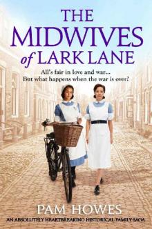 The Midwives of Lark Lane Read online