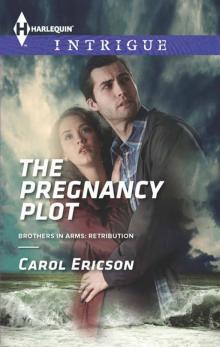 The Pregnancy Plot (Brothers In Arms: Retribution Book 2)