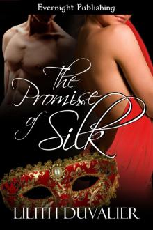 The Promise of Silk Read online