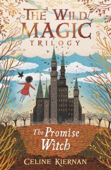 The Promise Witch Read online