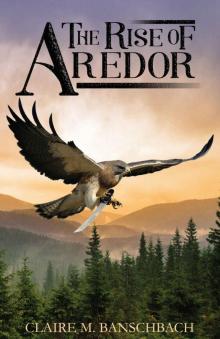 The Rise of Aredor Read online