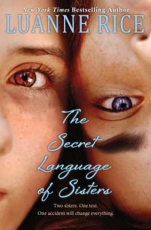 The Secret Language of Sisters Read online