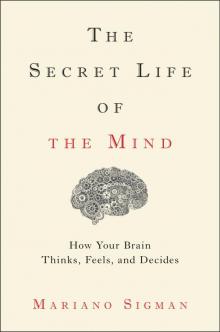 The Secret Life of the Mind