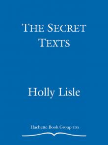 The Secret Texts Read online