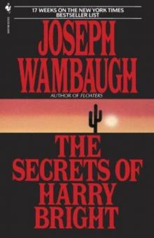 The Secrets of Harry Bright Read online