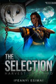 The Selection Read online