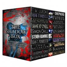 The Shadow Box: Paranormal Suspense and Dark Fantasy Thriller Novels Read online