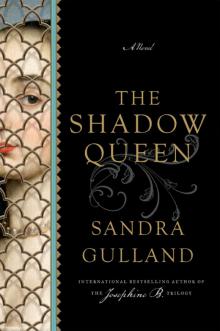 The Shadow Queen Read online