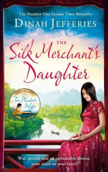 The Silk Merchant’s Daughter Read online