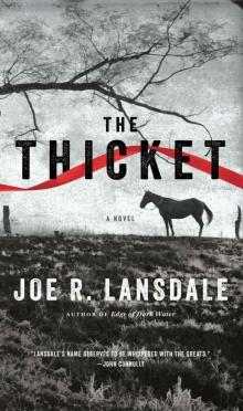 The Thicket Read online