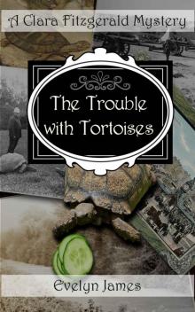 The Trouble With Tortoises Read online