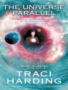 The Universe Parallel Read online