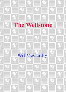 The Wellstone Read online