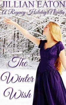 The Winter Wish Read online