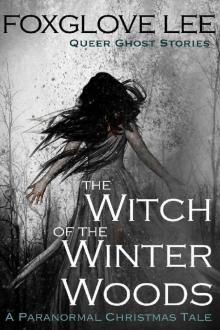 The Witch of the Winter Woods Read online