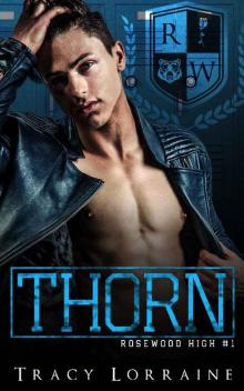 THORN: A High School Bully Romance (Rosewood Book 1) Read online