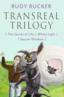 Transreal Trilogy: Secret of Life, White Light, Saucer Wisdom Read online