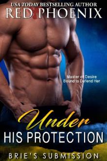 Under His Protection (Brie's Submission Book 14) Read online