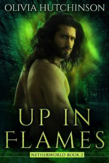 Up In Flames (Netherworld Series Book 2) Read online