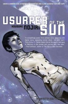 Usurper of the Sun Read online