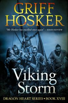 Viking Storm Read online