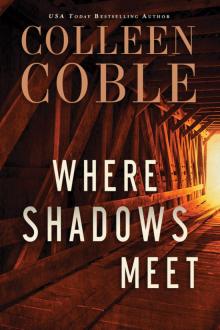 Where Shadows Meet Read online