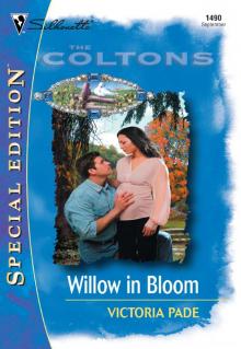 Willow in Bloom Read online