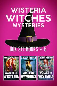 Wisteria Witches Mysteries Box Set 2 Read online