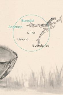 A Life Beyond Boundaries Read online