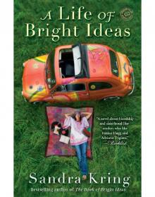 A Life of Bright Ideas Read online
