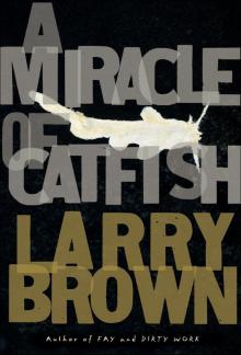A Miracle of Catfish Read online
