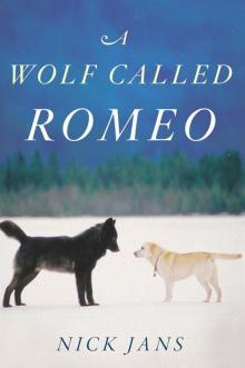 A Wolf Called Romeo Read online