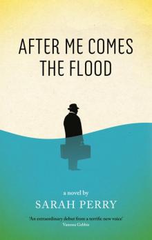 After Me Comes the Flood Read online