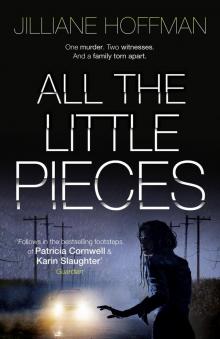 All the Little Pieces Read online