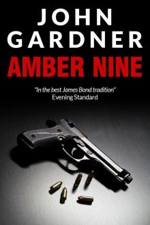 Amber Nine Read online