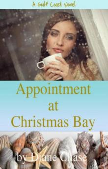 Appointment at Christmas Bay Read online