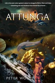 Attunga Read online