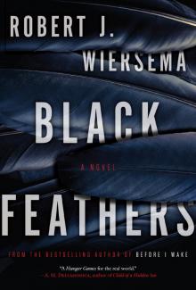 Black Feathers Read online